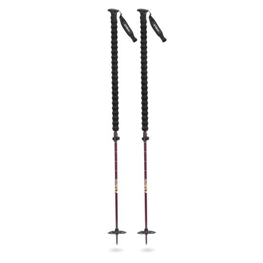 Pahto Ski Poles