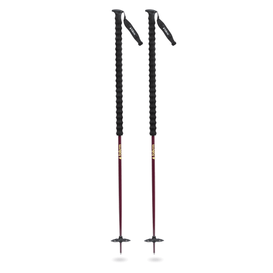 Wyeast Ski Poles