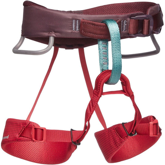 Black Diamond Momentum Kids Harness