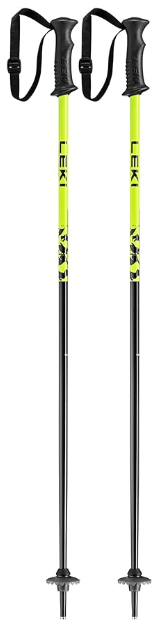 Rider Ski Pole