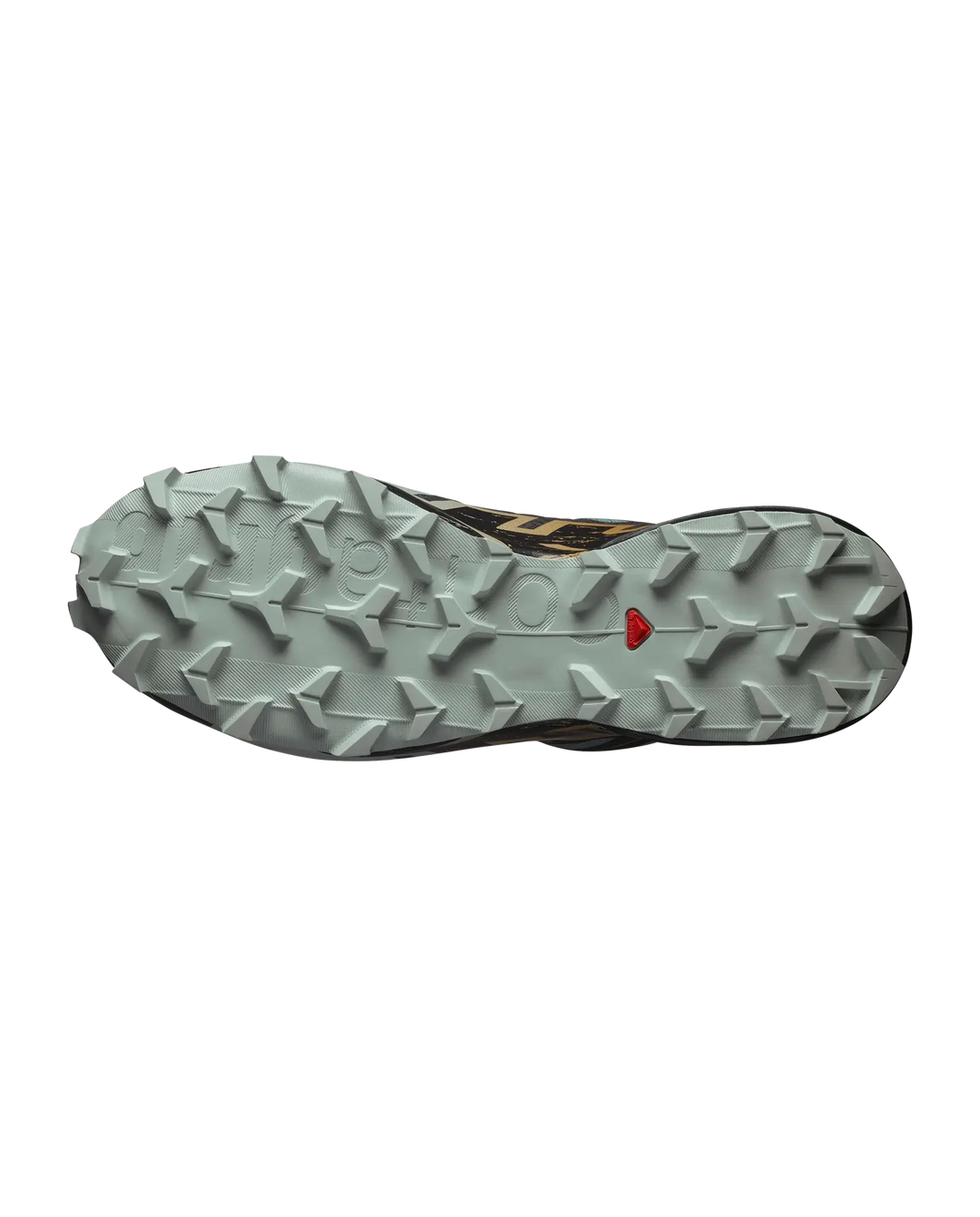 Salomon Speedcross 6 GTX Men&