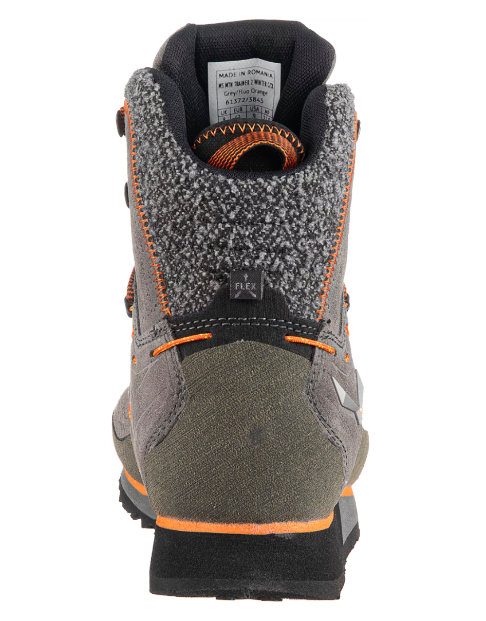 Mountain Trainer 2 Winter Gore-Tex Shoes